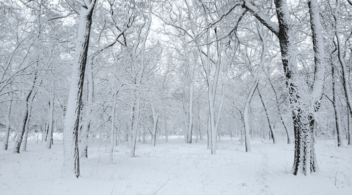 Why Your Skin Needs a Cold Weather Routine - QMS Medicosmetics - USA and North America