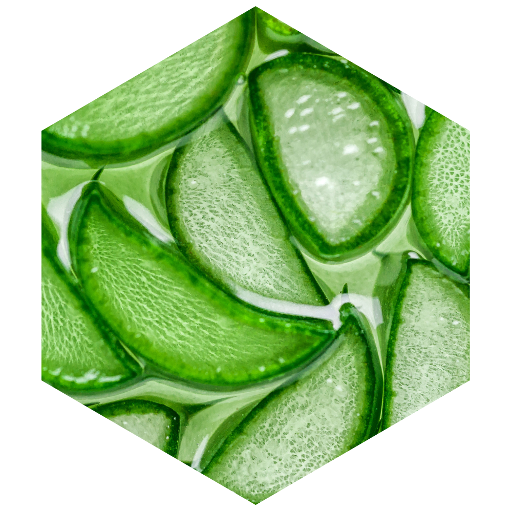 Hexagonal arrangement of sliced green cucumbers on a white background