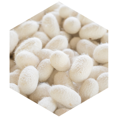 Close-up of white silkworm cocoons on a beige background